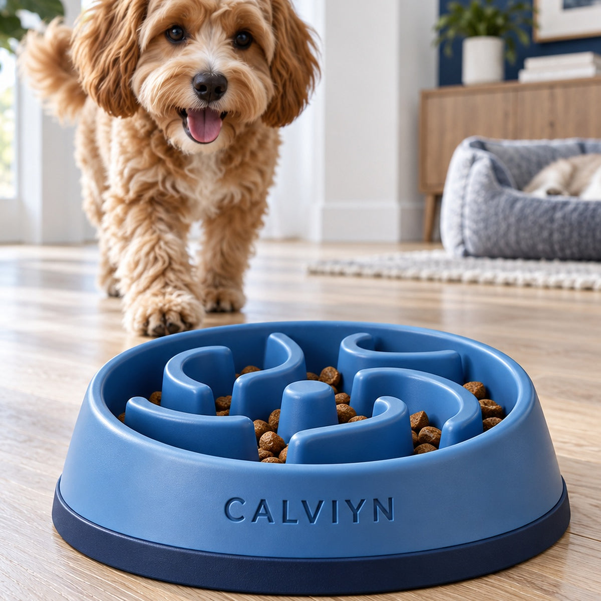 Balanced Pace Slow Feeder by CALVIYN