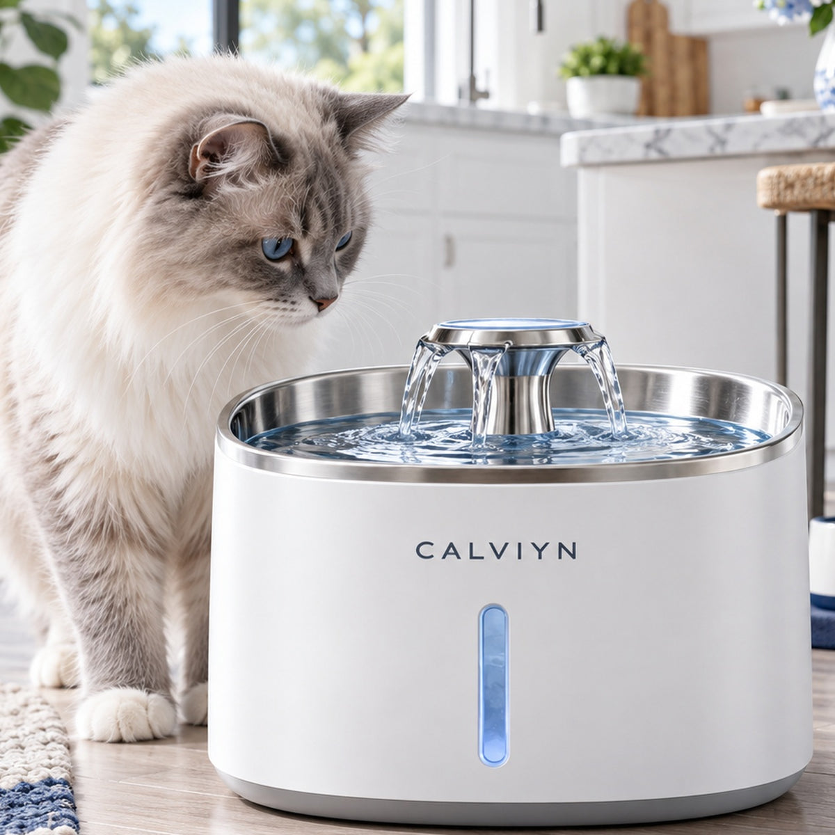 Quiet Flow Pet Water Fountain by CALVIYN