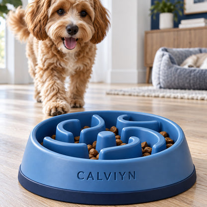 Balanced Pace Slow Feeder by CALVIYN