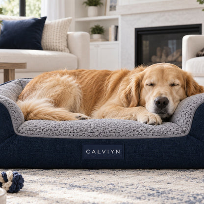 Cloud Support Memory Foam Pet Bed by CALVIYN