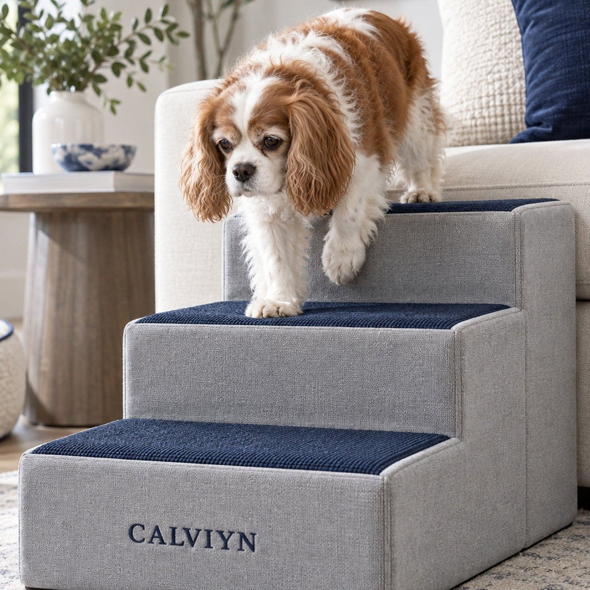 Low-Step Pet Access Stairs by CALVIYN