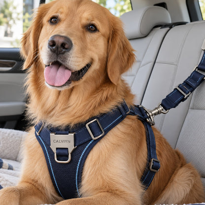 Adjustable Car Safety Tether by CALVIYN