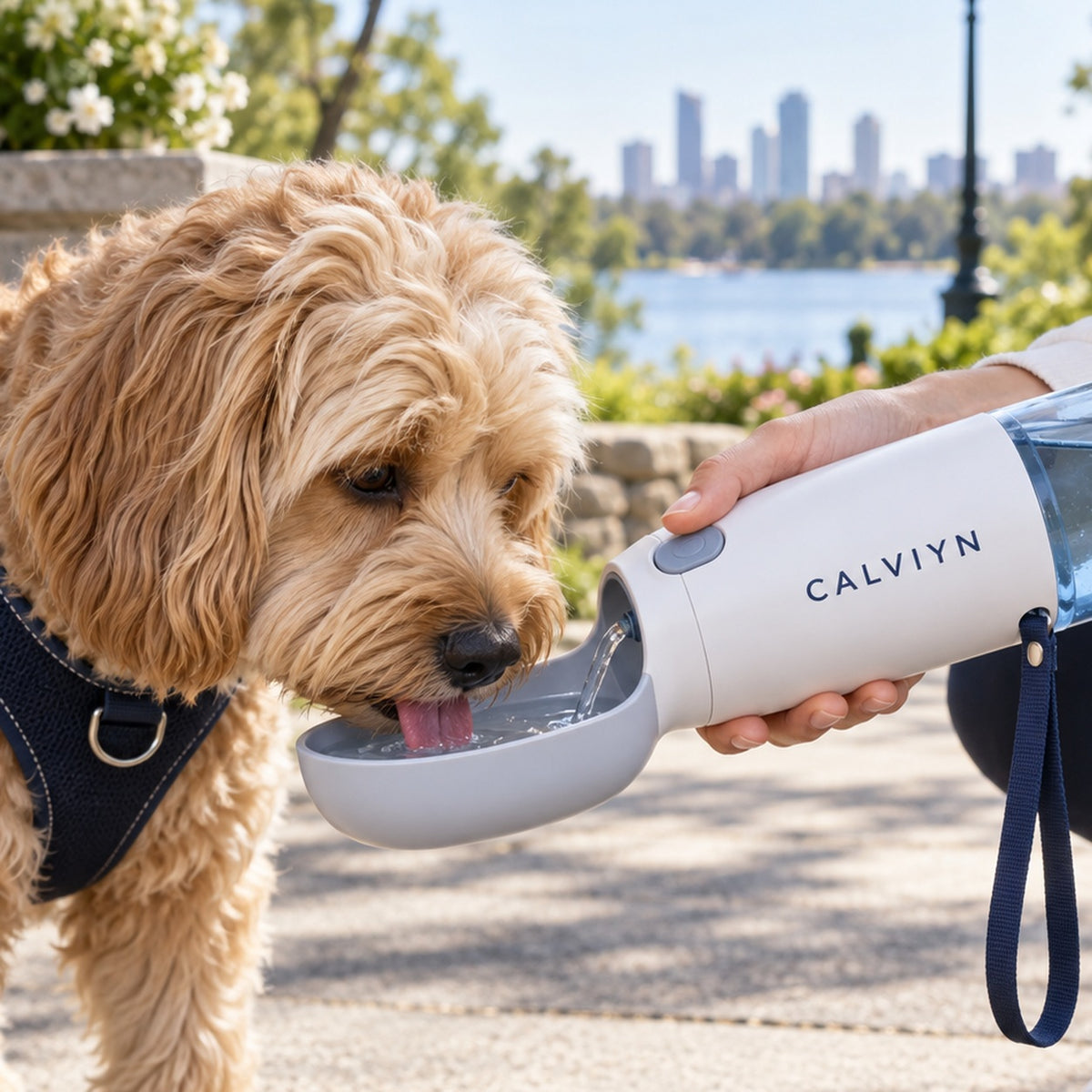 TrailSip Portable Pet Water Bottle by CALVIYN